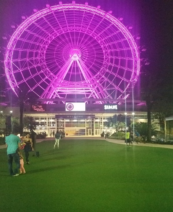 idrive-360-orlando-eye-night