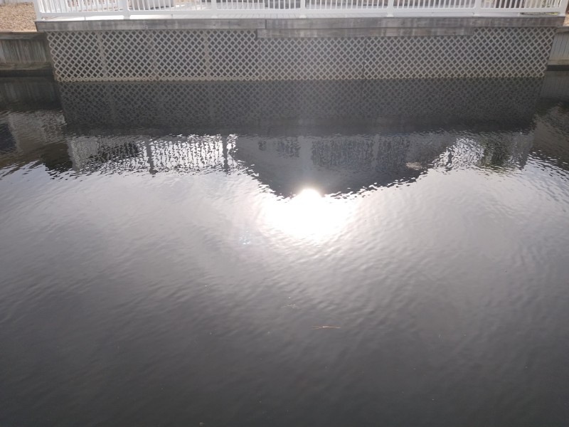 Beautiful fresh water canal, drop Your line from Your lounge chair.