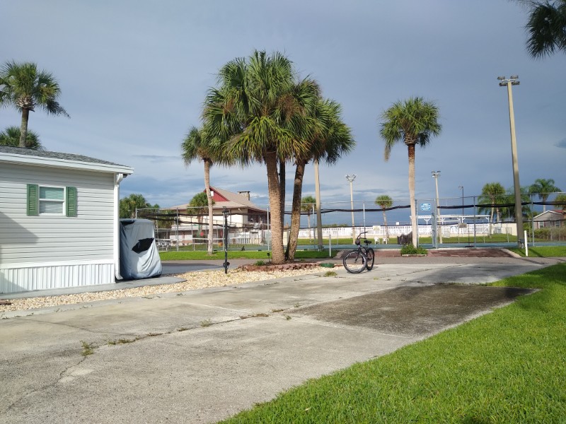 looking toward the Clubhouse, notice the beautiful Palm Trees.